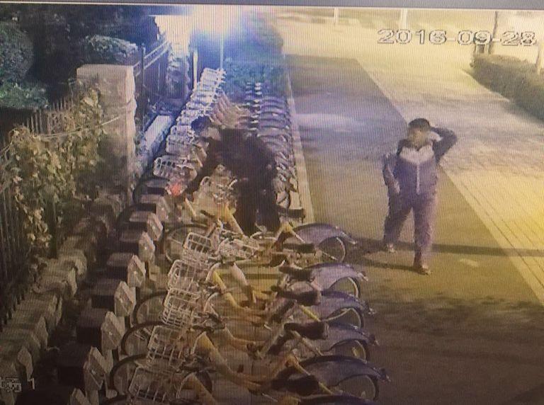 币游·国际(中国游)官方网站