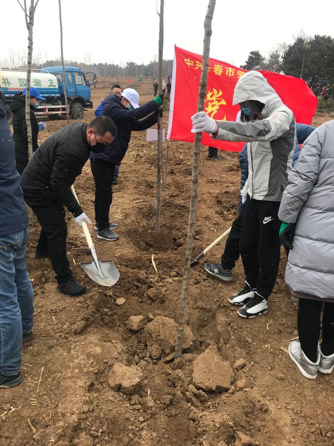 币游·国际(中国游)官方网站