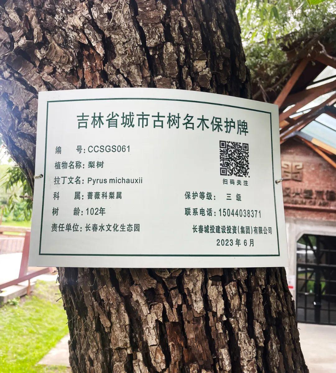 币游·国际(中国游)官方网站